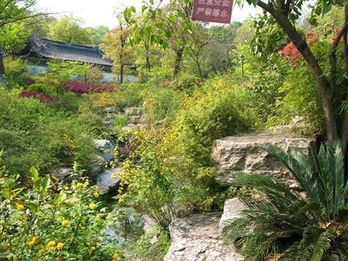 登山踏青