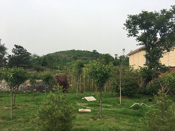 风景一角